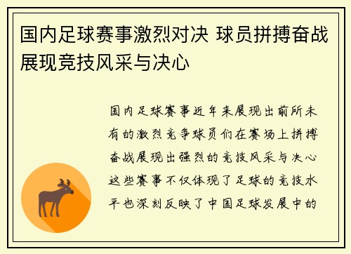 国内足球赛事激烈对决 球员拼搏奋战展现竞技风采与决心
